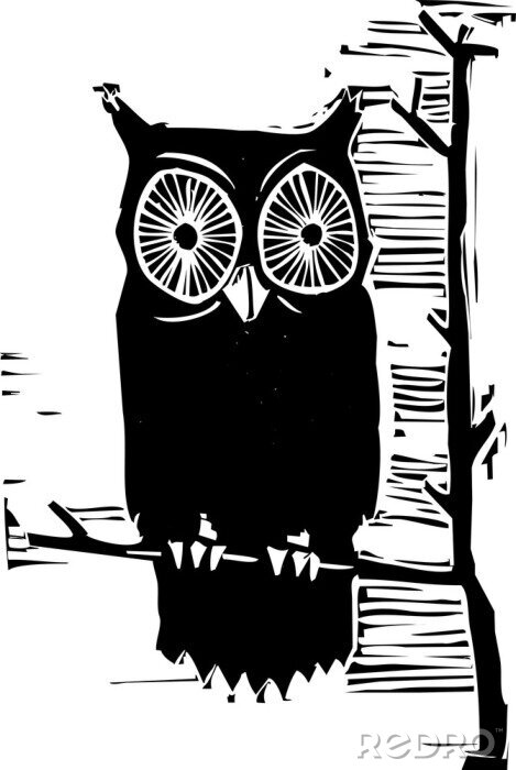 Poster Tiere Wald Eule monochrome Grafik