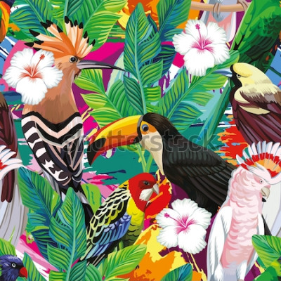 Poster Tierische exotische Vögel