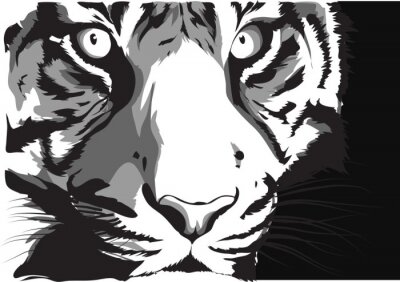 Poster Tiger in Grautönen