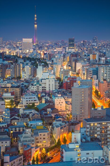 Poster Tokyos Dämmerung