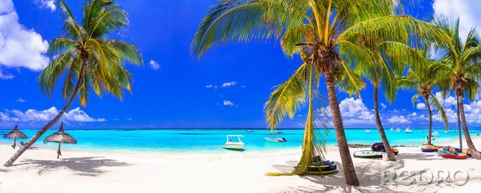 Poster Topischer Strand auf Mauritius