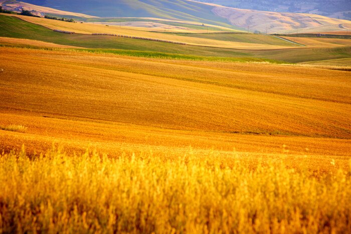 Poster Toskana ländliche Landschaft