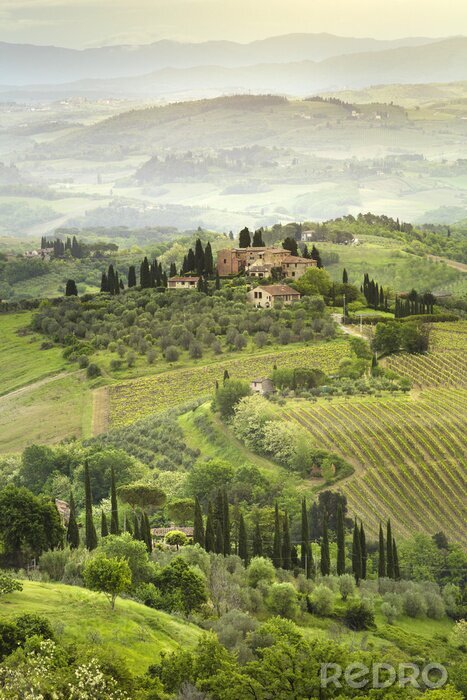 Poster Toskana Landschaft vom Hügel aus