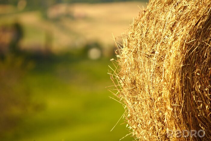 Poster Toskana nach Heuernte