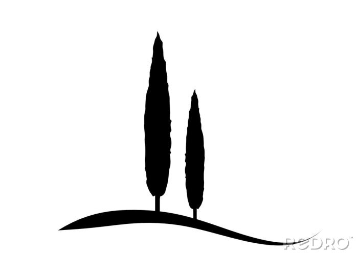 Poster Toskana schwarz-weiß Zypressen