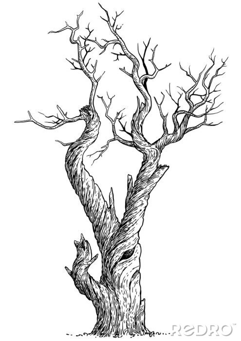 Poster Toter Baum Illustration in Skizze-Ästhetik