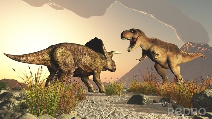 Poster Triceratops und Tyrannosaurus