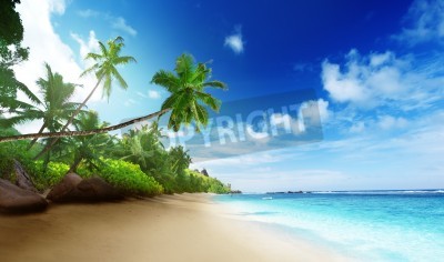 Poster Tropen Palmen und Strand