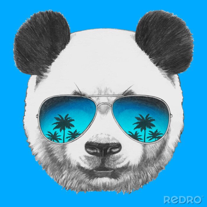 Poster Tropen Panda mit Brille auf der Nase