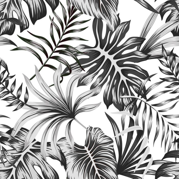Poster Tropical black and white palm leaves seamless pattern white background. Exotic jungle wallpaper.