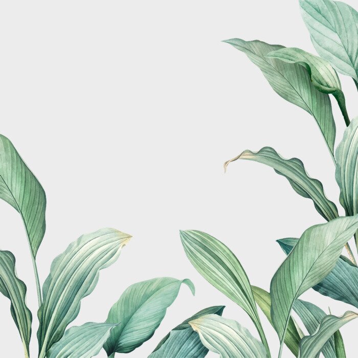 Poster Tropical leaves background
