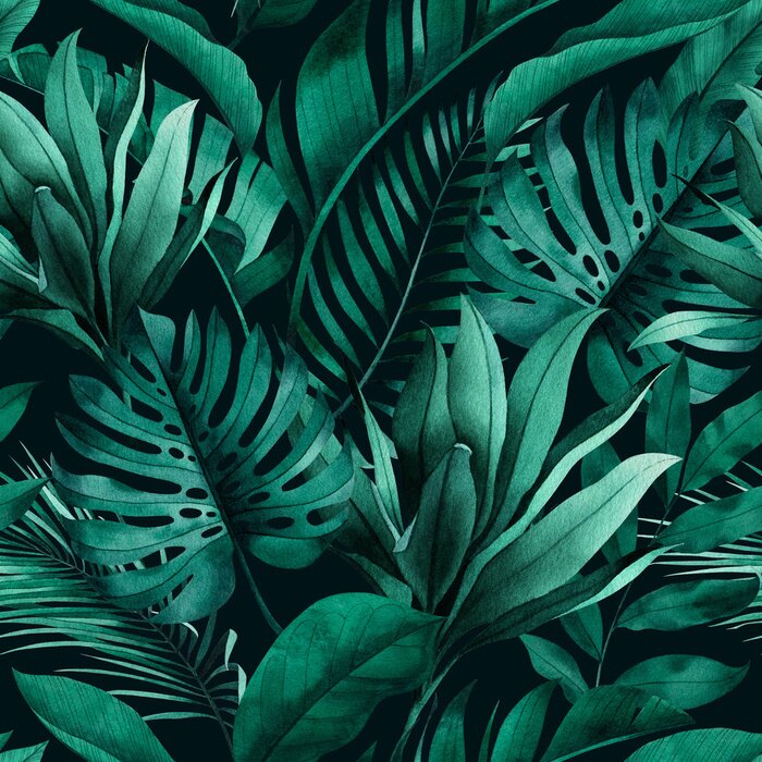 Poster Tropical seamless pattern with exotic monstera, banana and palm leaves on dark background.