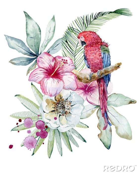 Poster Tropical watercolor illustration