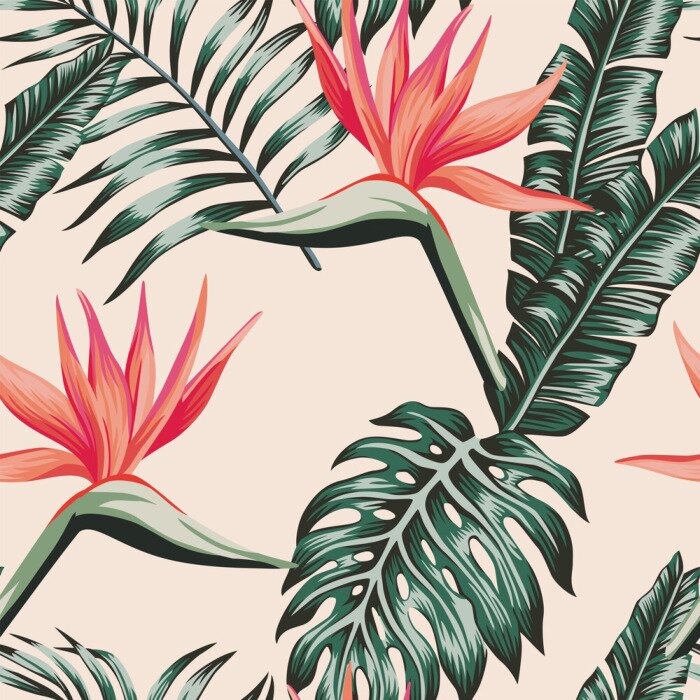 Poster Tropische Blumen, die wie Vögel aussehen