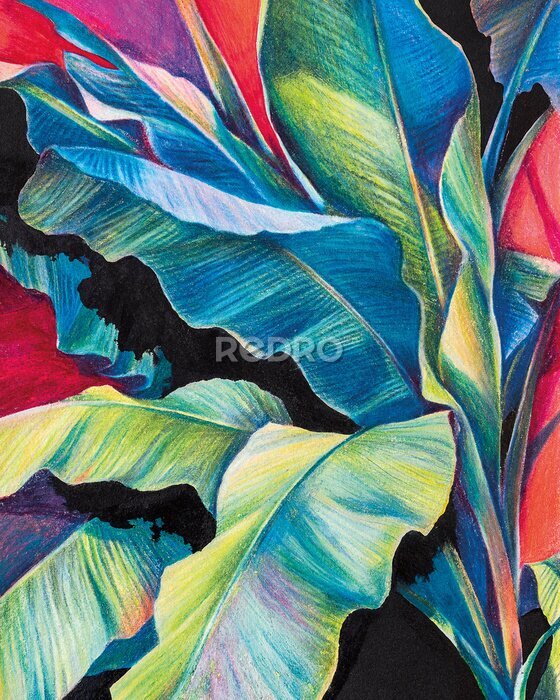 Poster Tropische Blumenstraußfarben