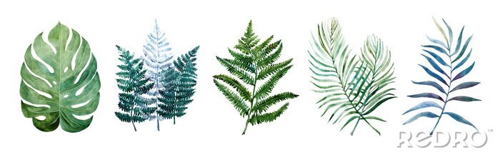 Poster Tropische Pflanzen in Form von Blättern