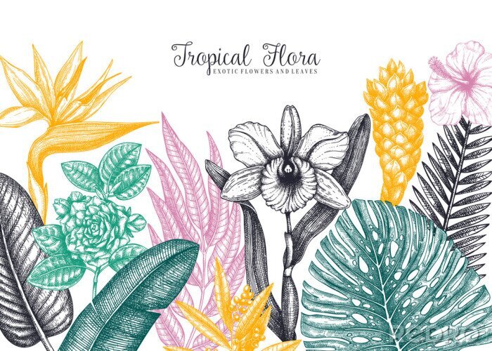 Poster Tropische Pflanzen in kontrastierenden Farben