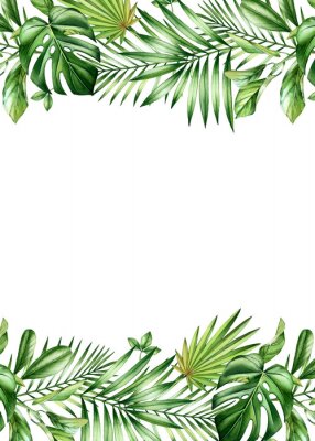 Poster Tropische Pflanzen in zwei Reihen