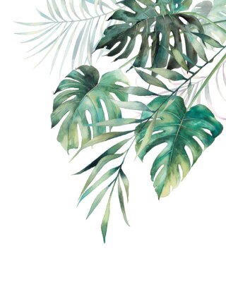 Poster Tropische Pflanzen mit dunkelgrünen Blättern