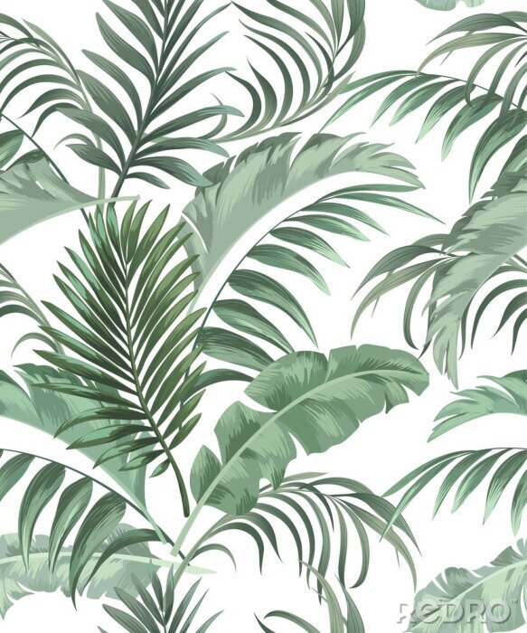 Poster Tropische Pflanzen mit phänomenalen Blättern