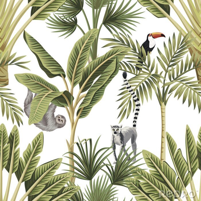 Poster Tropische Pflanzen und Tiere im Boho-Stil