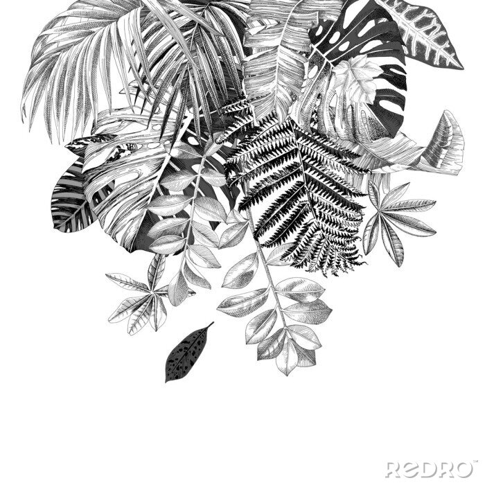 Poster Tropische Pflanzenblätter