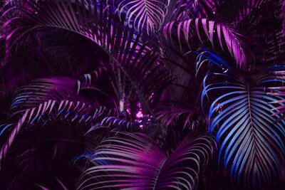 Tropische violette Blätter