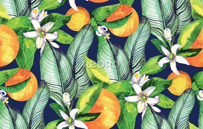 Poster tropischer Orangenbaum