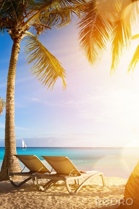 Poster Tropischer Strand in der Sonne