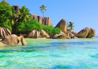 Tropisches Meer Felsen und Palmen