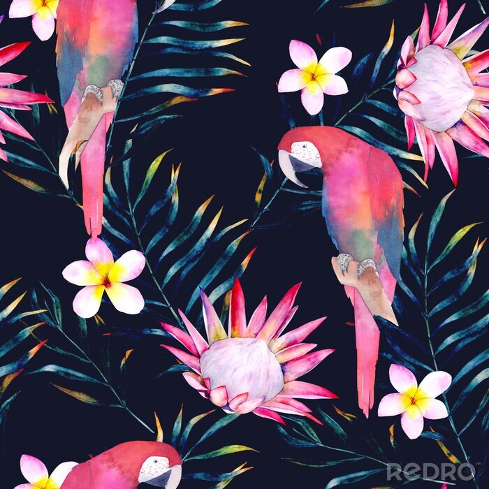 Poster Tropisches nahtloses Muster mit Papageien, Protea, Plumeria und Blättern. Aquarell Sommer Print. Exotische handgezeichnete Abbildung