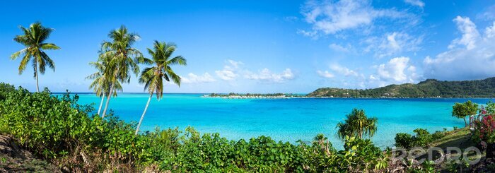 Poster Tropisches Panorama