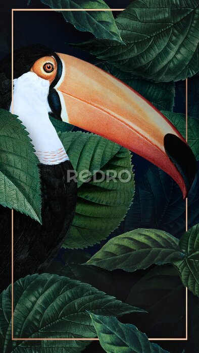 Poster Tukan auf einem Hintergrund von dunkelgrünen Blättern