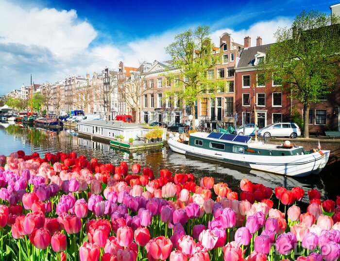 Poster Tulpen in Amsterdam