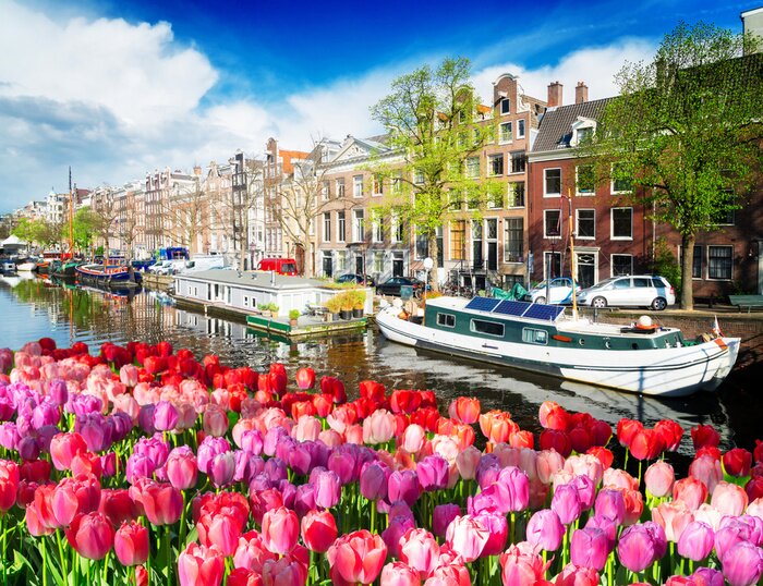 Poster Tulpen in Amsterdam