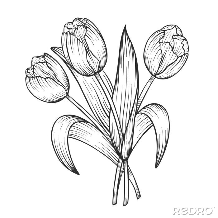 Poster Tulpen monochromatischer Strauß