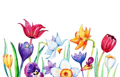 Poster Tulpen, Narzissen und Stiefmütterchen skizzierte Zusammensetzung