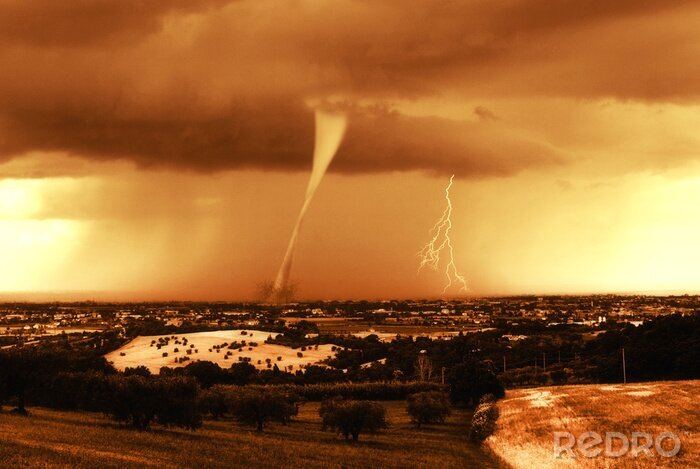 Poster Unbändige Natur