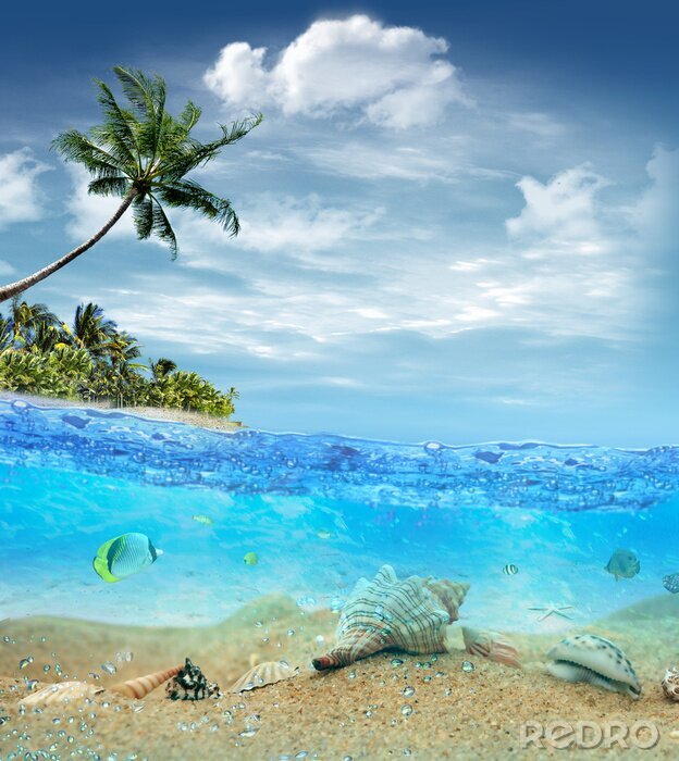 Poster Unterwasserwelt und Strand