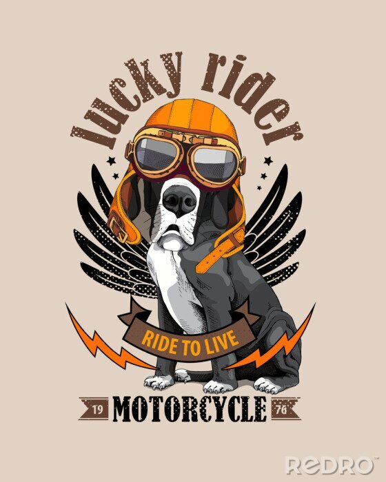 Poster Vector illustration with Great Dane Dog in a biker glasses and orange helmet on a beige background. Lucky rider - lettering quote. Inspiration poster, emblem design, hand drawn style t-shirt print.