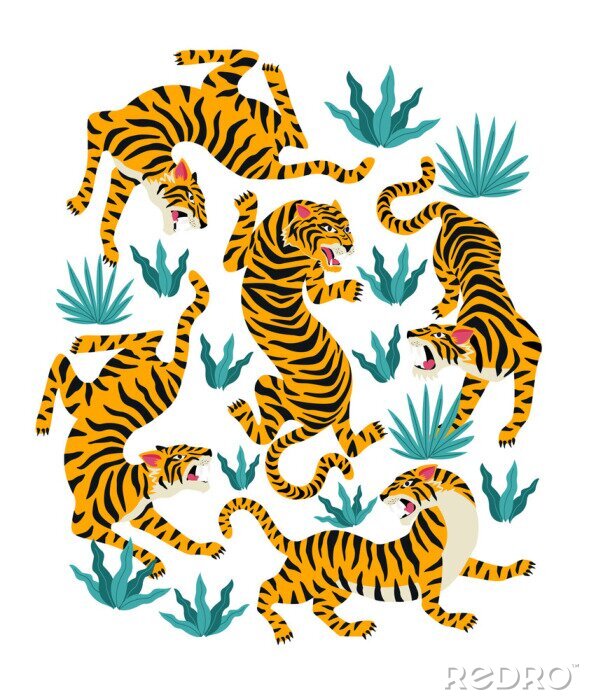 Poster Vector set of tigers and tropical leaves. Trendy illustration.