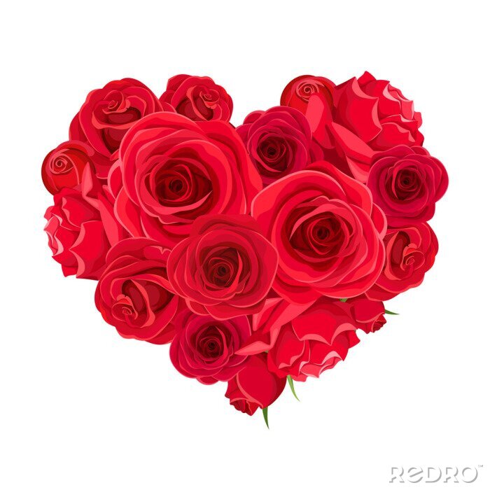 Poster Vector Valentine’s day heart of red roses isolated on a white background.