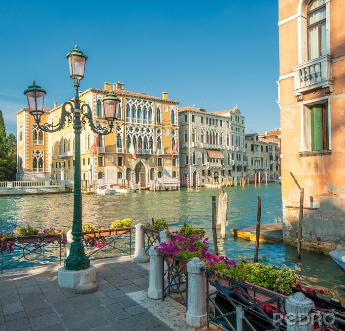 Poster Venedig mit blumen bedeckt