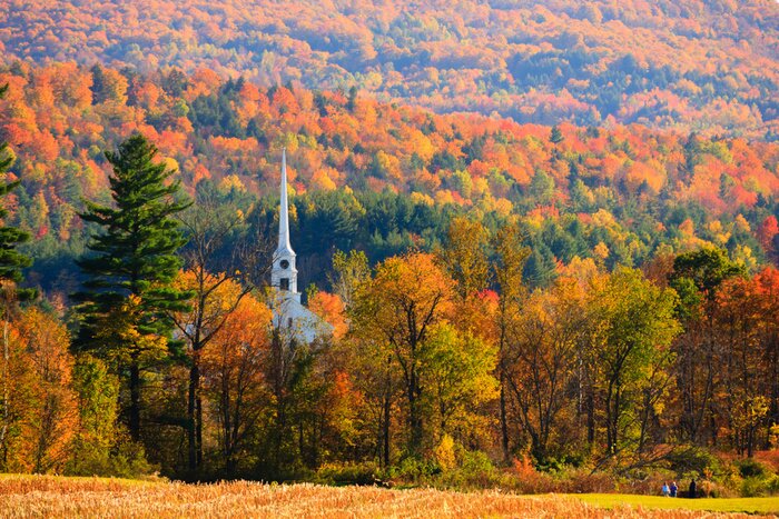 Poster Vereinigte Staaten und herbstlicher Wald