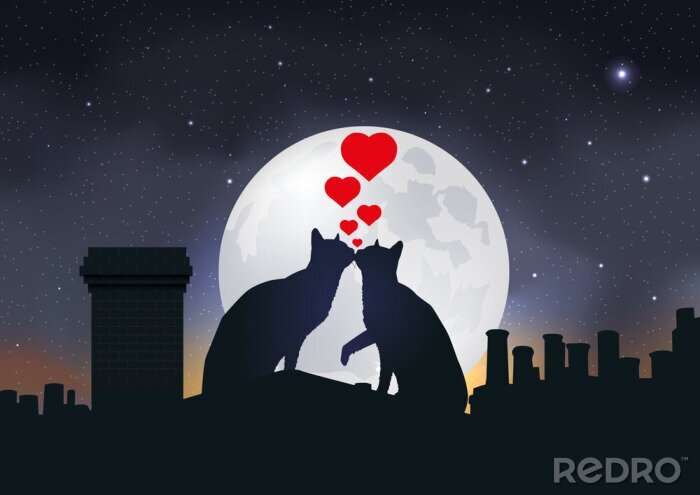 Poster Verliebte Katzen auf einem Mond-Hintergrund