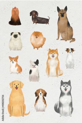 Poster Verschiedene Hunderassen