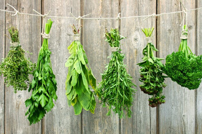 Poster Verschiedene Kräuter hängen zum Trocknen an einer Schnur.