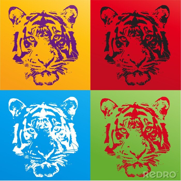 Poster Vier Gesichter des Tigers