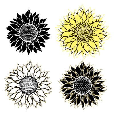 Vier Sonnenblumen auf einer Illustration