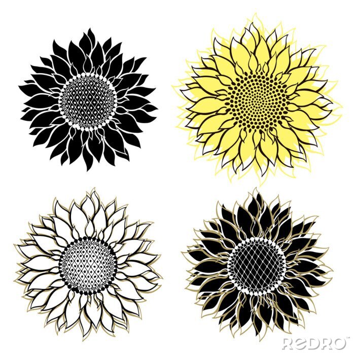Poster Vier Sonnenblumen auf einer Illustration